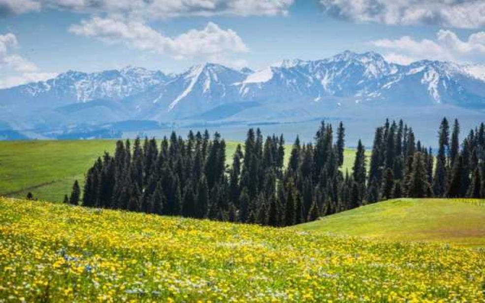 7月新疆旅游, 体验独特的自然风光与文化之旅