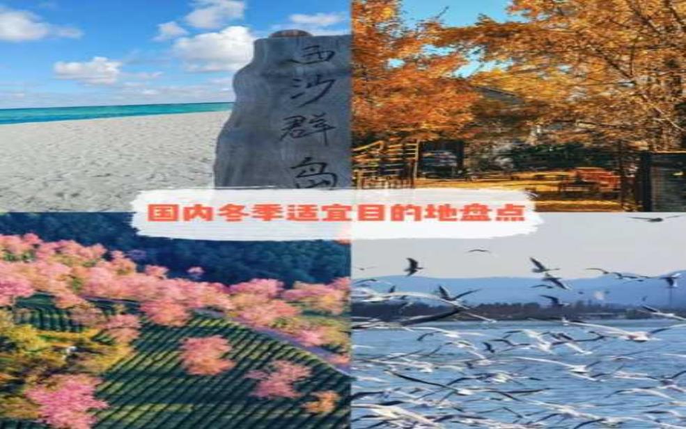 冬季旅游, 如何挑选最佳目的地?