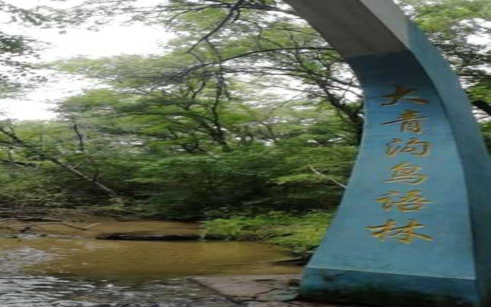 大青沟旅游, 探秘自然与文化的完美结合