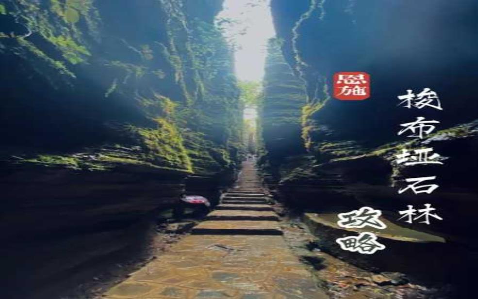 奥陶纪旅游, 发现古代生命的神奇之旅