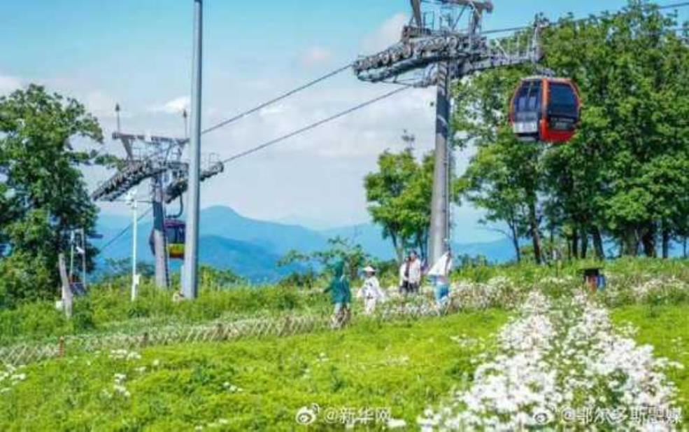  带孩子出去旅游，如何选择最佳目的地？ 