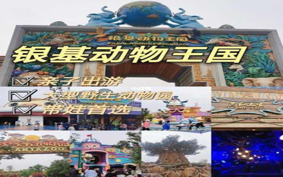 银基国际旅游, 探索最佳旅行目的地秘籍
