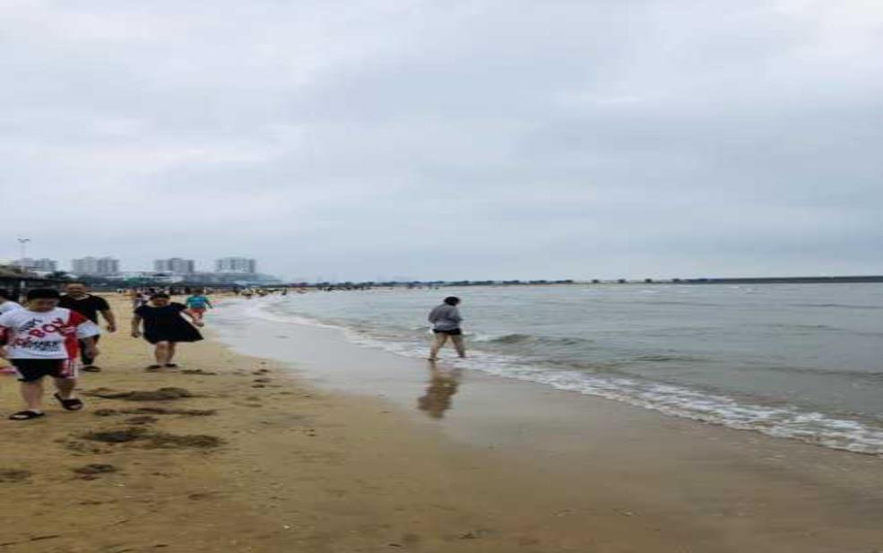 龙口东海旅游, 探索美丽海岸的最佳玩法
