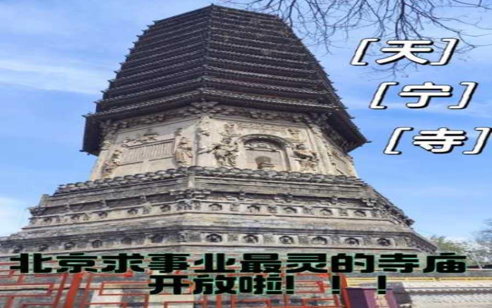 衡水天宁寺门票, 如何获取及价格介绍 