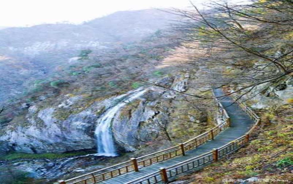 金寨马鬓岭门票, 如何获取最精准信息?