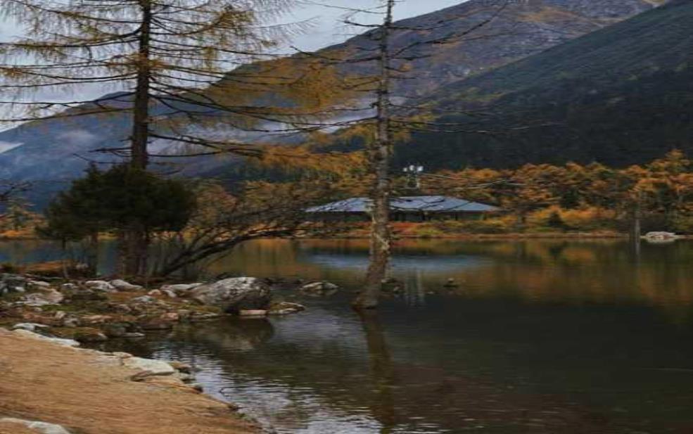 龙王湖门票, 如何获取最新资讯?
