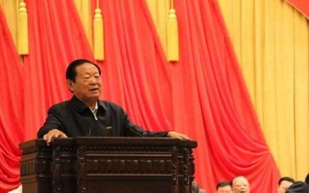 胡富国简历, 他的成就与职业发展解析