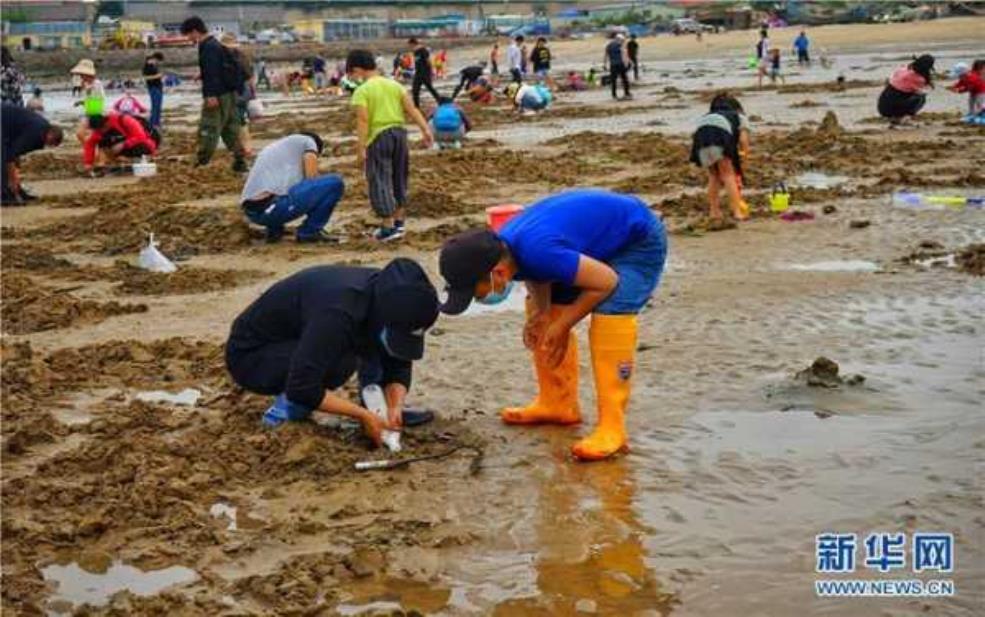  阿阳赶海，探索海边的乐趣与收获 