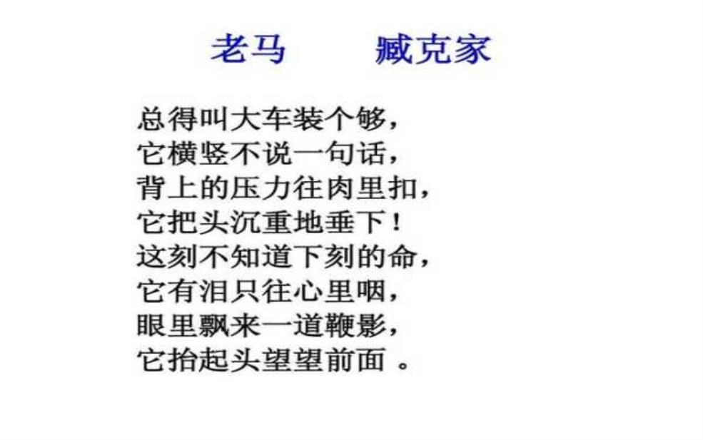 雪泥马:为何其故事令人动容?