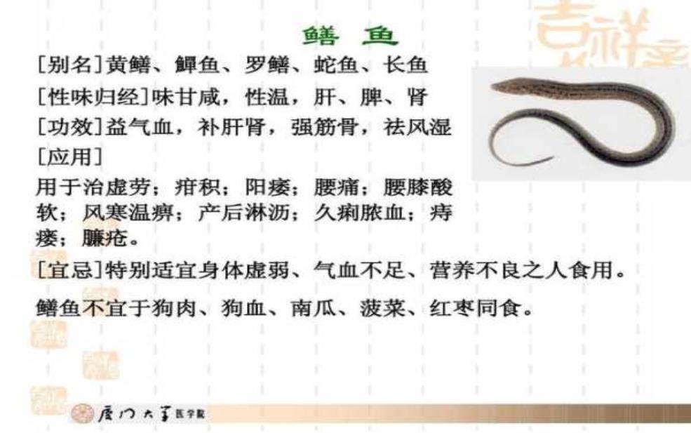  鳗鳚，了解这种美味水产的营养价值 
