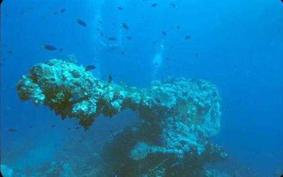 特鲁克泻湖_探索这片海洋奇迹的魅力与秘密