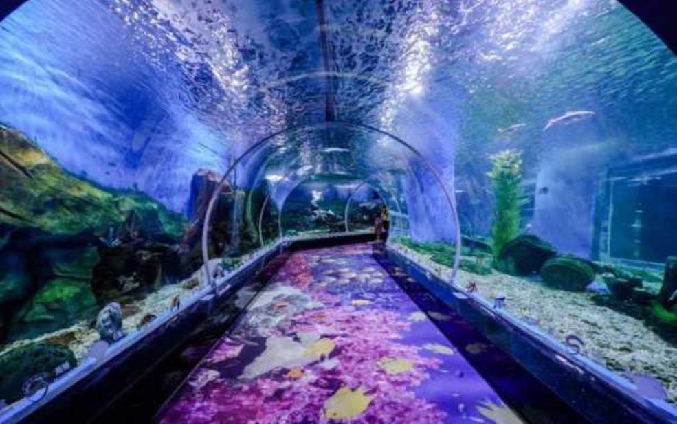  迎泽公园海底世界_探索神秘海洋生物的乐园 