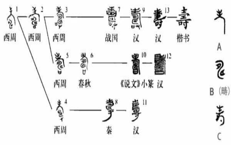  金寿什么字_探秘其含义与来源 