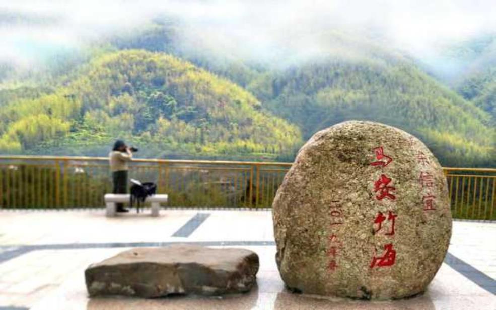  马安竹海_探秘自然之美与静谧之地 