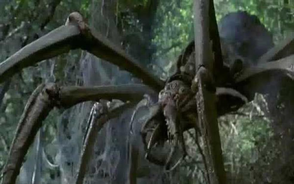 天外魔蛛_它是如何影响我们的生态?