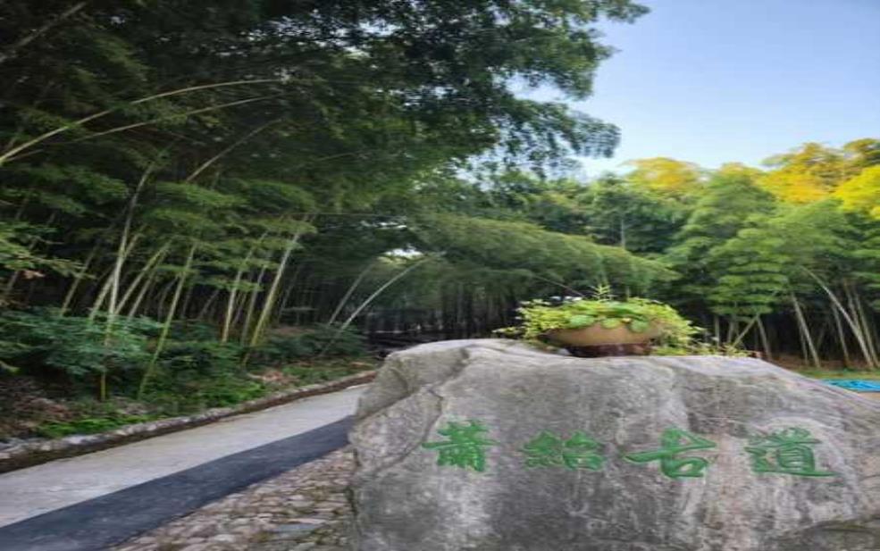 萧绍古道_探寻千年文化与自然风光