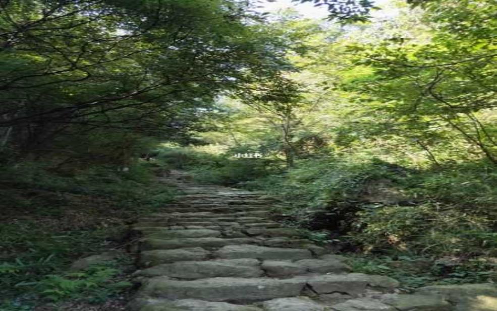 萧绍古道_探寻千年文化与自然风光