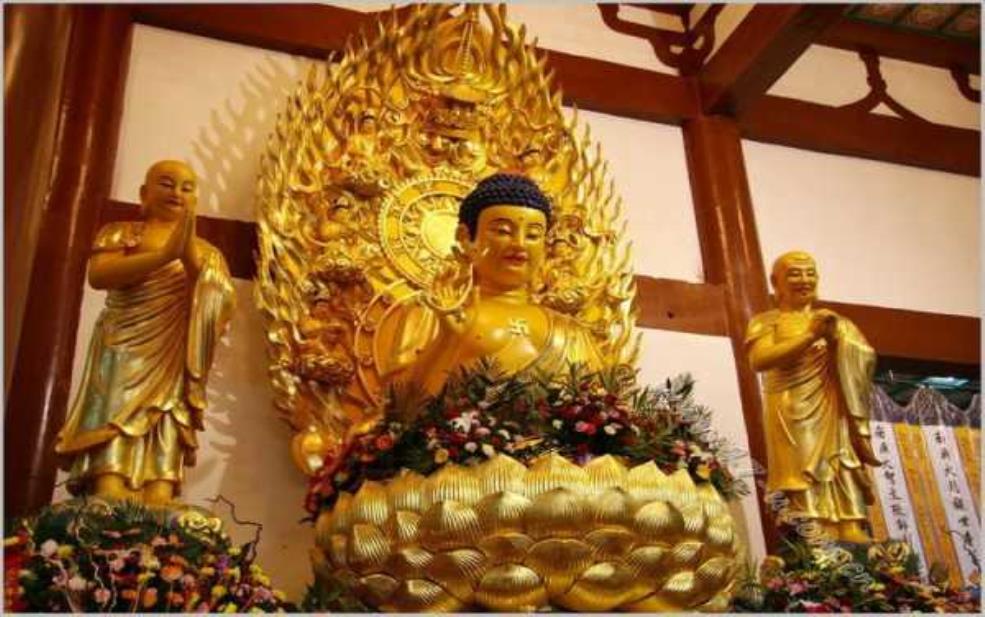  虚云禅寺_探索其历史与文化魅力 