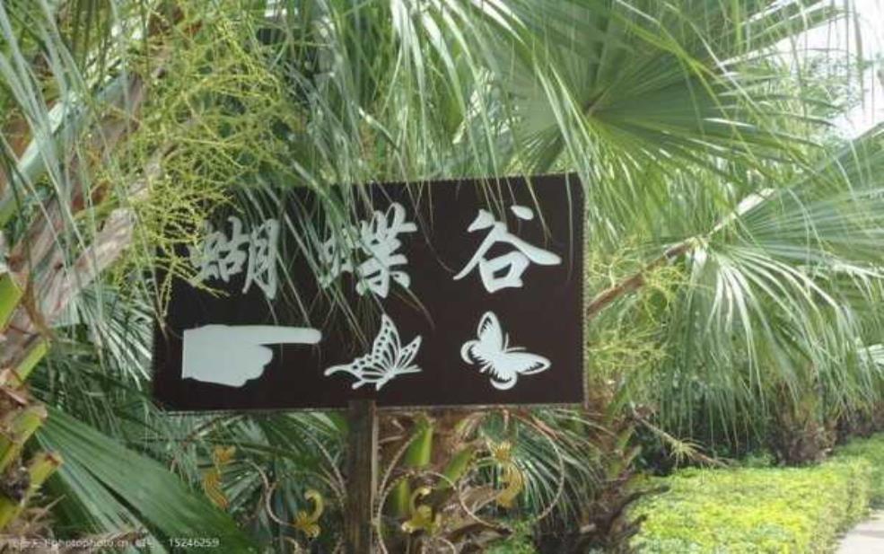  蝴蝶谷中文网站_探索自然之美与生态奇观 