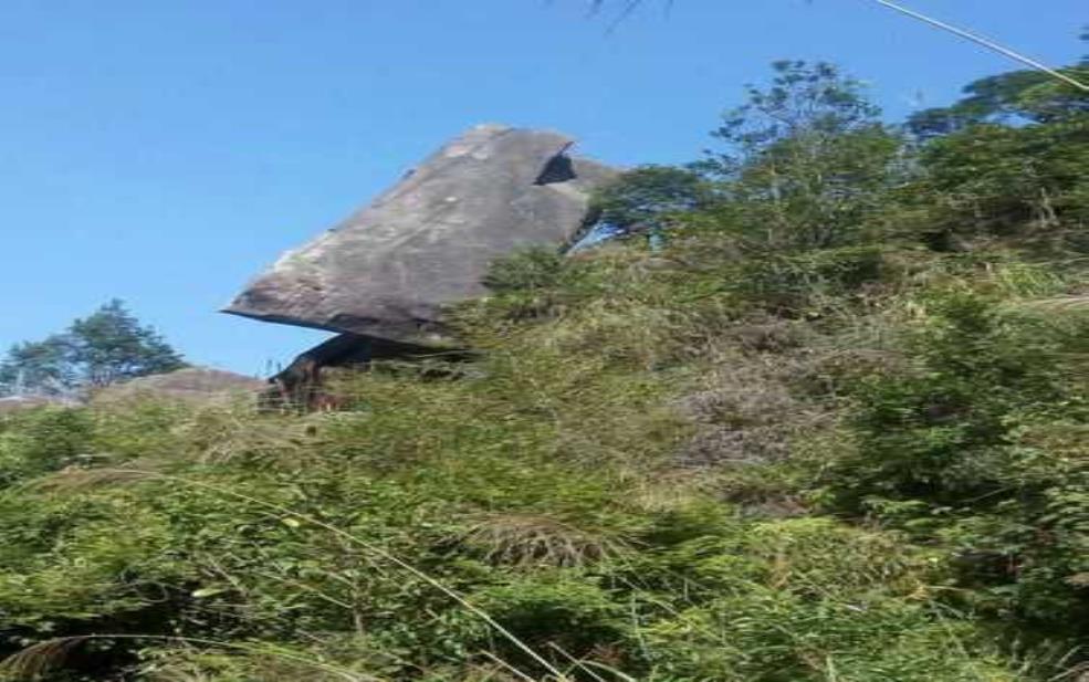 谢仙嶂_探秘壮丽自然与历史文化之美