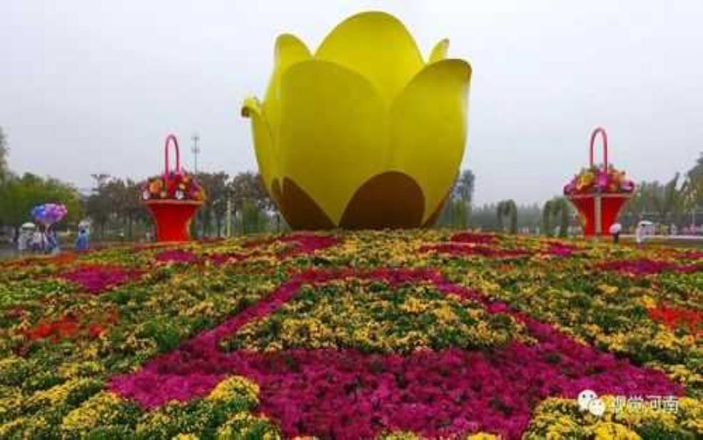 鄢陵花博园_探索花海的魅力与秘境