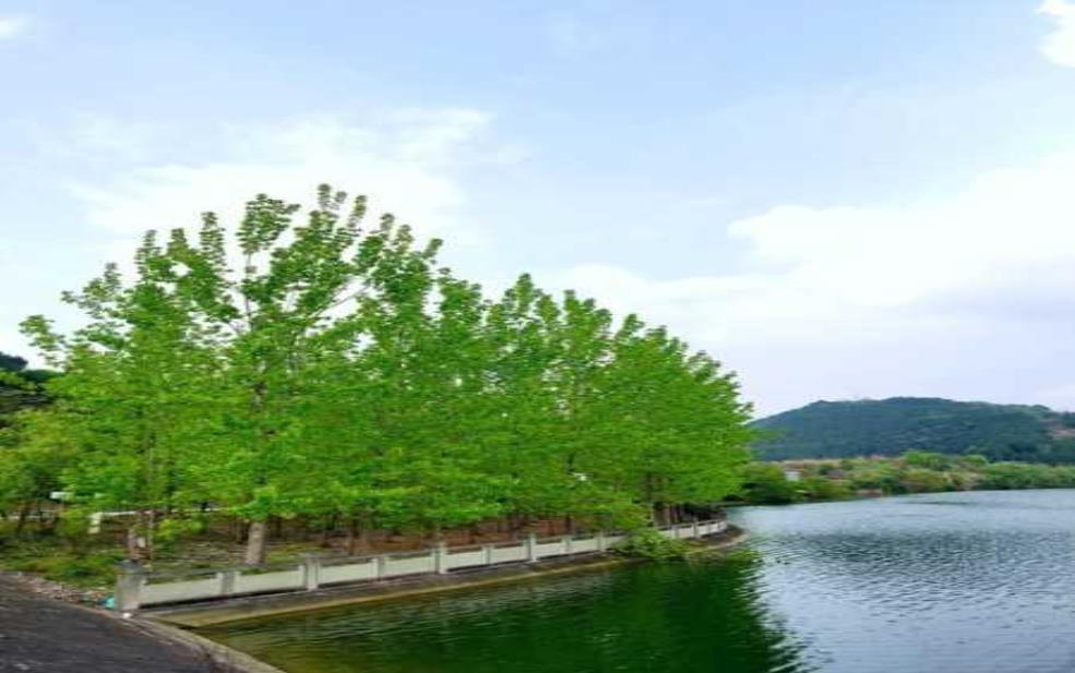  黄鹿水库_探秘这片宁静水域的魅力 