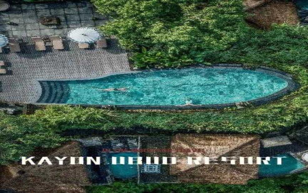 北湖湾度假村_享受完美假期的理想选择