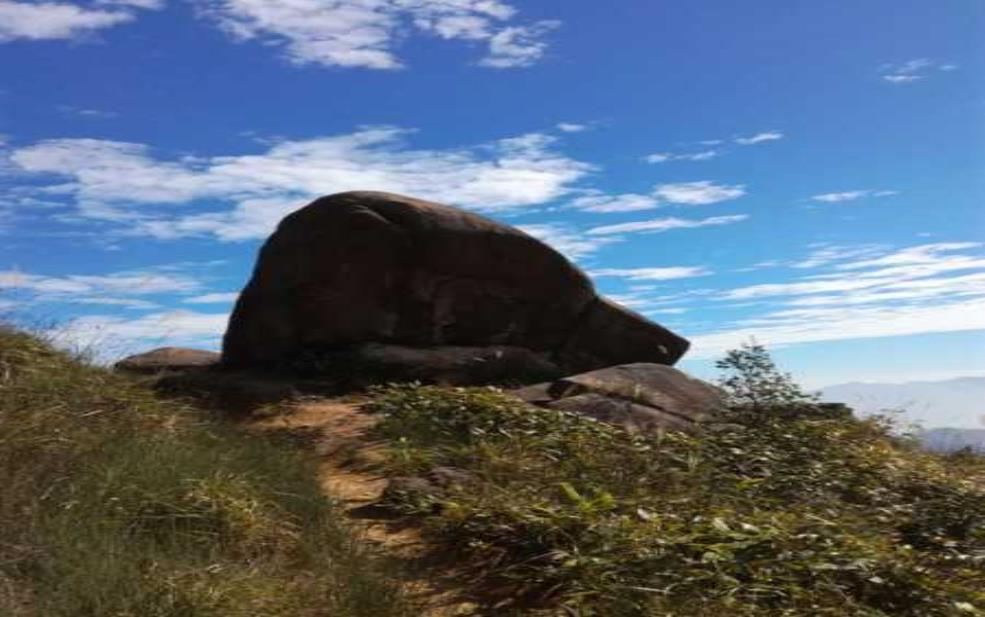 大埔西岩山_探索隐秘的自然之美