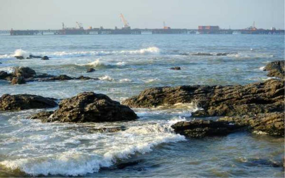 大连黑石礁_探寻海底秘境与美丽风光
