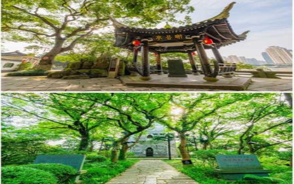 松风轩_探寻古韵与现代交融的魅力所在