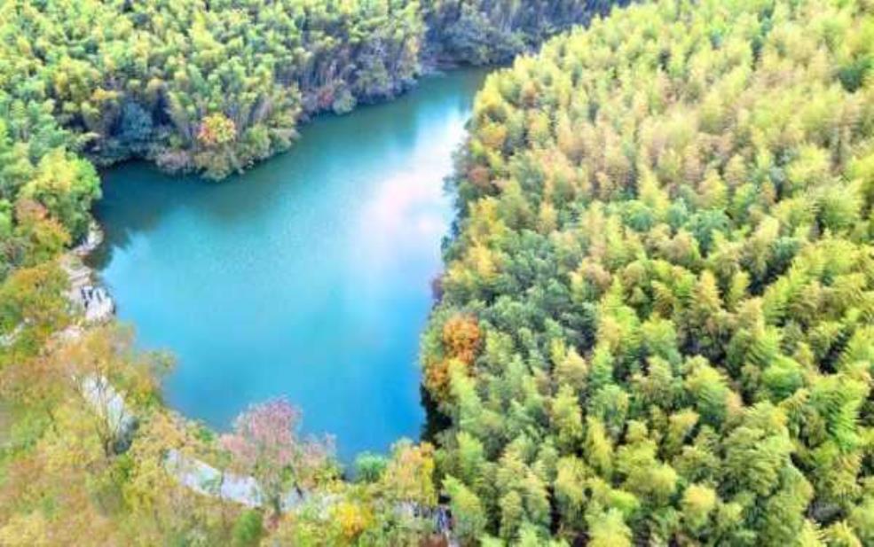  石塘竹海_探索这个世外桃源的魅力 