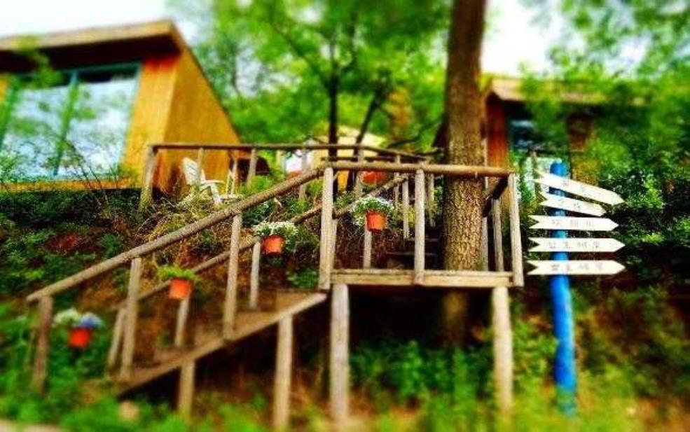  紫藤花开湖边小屋_如何打造梦幻花园？ 