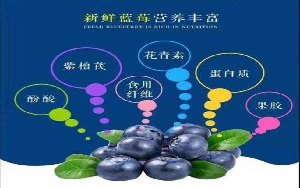 蓝莓山_探索自然之美与健康益处