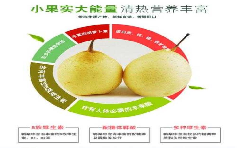  郑州大鸭梨_为什么成为夏季热销果品？ 