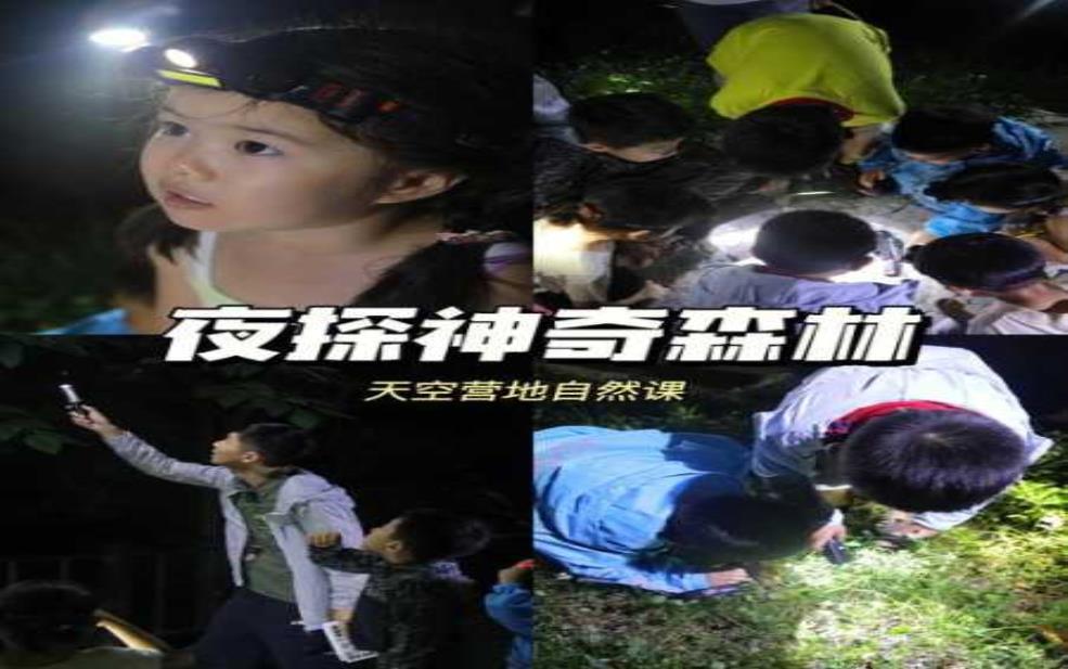 麦克拉伦谷_探秘自然与冒险的完美结合