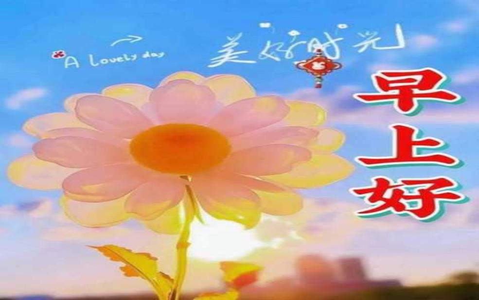  天气米雪本草纲目_如何应对寒冷天气带来的影响？ 