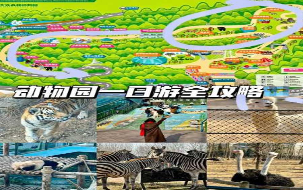  大连森林动物园在限号_如何安全游览？ 