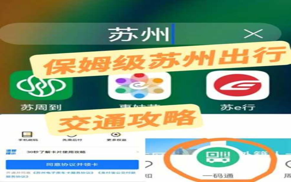  苏州8月1号限号_如何应对出行难题？ 